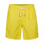 Męskie kąpielówki O\'Neill Vert Swim 16\