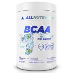 Aminokwasy BCAA MAX SUPPORT INSTANT 500g Arbuz