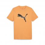 Puma Koszulka Desert Road Graphic 67970546