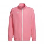 Dziecięca bluza dresowa adidas Entrada 22