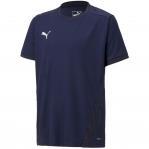 Koszulka dla dzieci Puma teamGOAL 23 Jersey