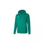 Bluza dla dzieci Puma teamGOAL 23 Casuals Hoody Jr zielona