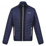 Męska Kurtka Halton VII Contrast Panel Baffled Padded Jacket