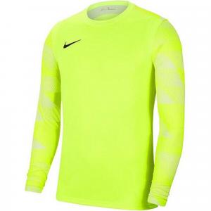 Bluza bramkarska męska Nike Dry Park IV JSY LS GK