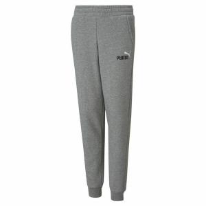 Spodnie dresowe dla dzieci Puma Essentials+ 2 Col Logo Dziecięcy