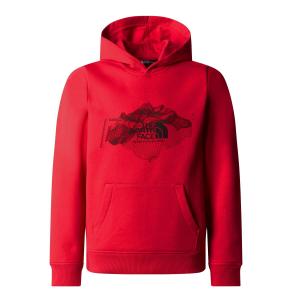 Bluza The North Face Topographic Regular