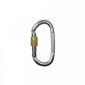 Karabinek Wspinaczkowy Climbing Technology Pillar Steel CF SG (Screw Gate) - zin