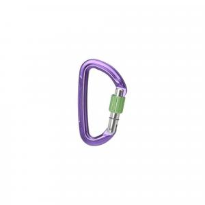 Karabinek wspinaczkowy Session Screw Gate