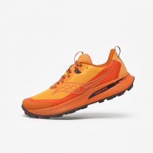 Buty do biegania w terenie męskie Saucony Peregrine 15