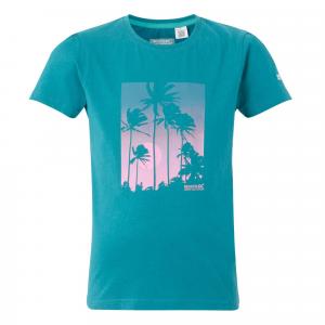 T-shirt Dziecięca Z Palmą Bosley VIII