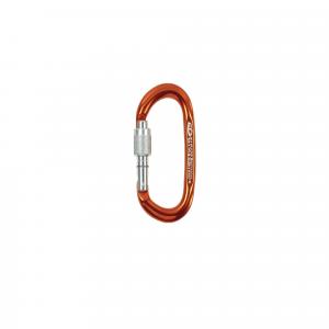 Karabinek do wspinaczki Climbing Technology Pillar CF SG Screw Gate