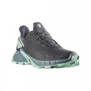Buty turystyczne damskie Salomon Alphacross 4 Gtx