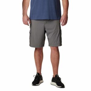 Męskie szorty cargo Columbia Silver Ridge Utility Cargo Short city grey 34