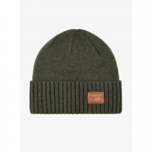 Czapka zimowa Patagonia Brodeo Beanie - skyline pine needle green