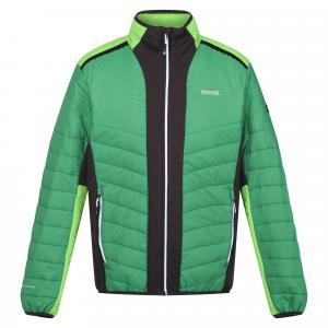 Męska Kurtka Halton VII Contrast Panel Baffled Padded Jacket