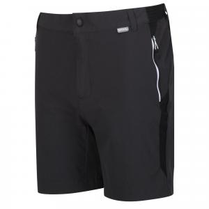 Spodenki Mountain Shorts II