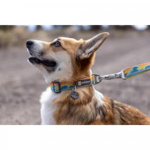 Smycz dla psa Ruffwear Crag Leash - rising wave