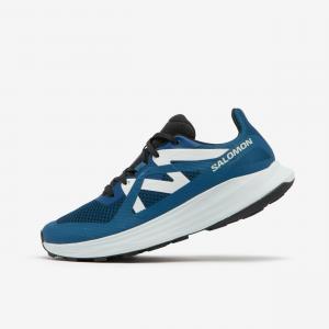 Buty do biegania w terenie męskie Salomon Ultra Flow