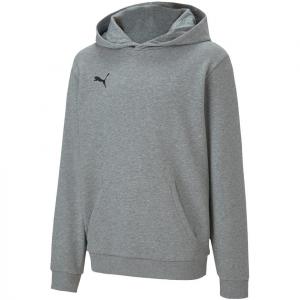 Bluza dla dzieci Puma teamGOAL 23 Casuals Hoody Jr