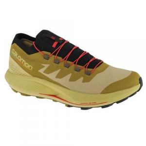 Buty trekkingowe męskie Salomon Pulsar Trailpro
