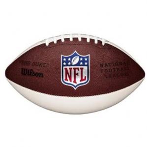 Wilson WTF1691ID NFL Mini Autograph