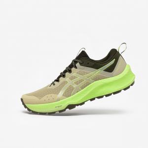 Buty do biegania w terenie męskie ASICS Trabuco Terra 2