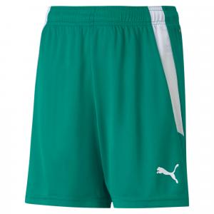 Spodenki dziecięce Puma Team Liga