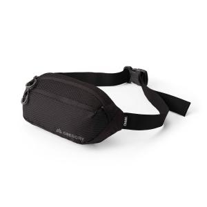 Torebka biodrowa saszetka nerka Gregory Nano Waistpack Mini