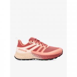 Buty do biegania damskie Inov-8 TrailFly Standard