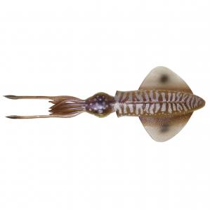 Przynęta morska 3D Swim Squid 12,5 cm Cuttlefish