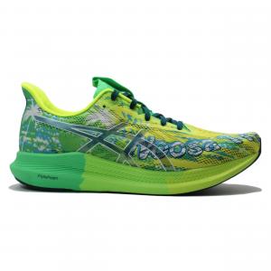 Buty do biegania męskie Asics Noosa Tri 14