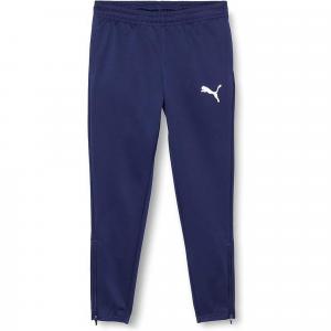 Spodnie piłkarskie dla dzieci Puma teamRISE Poly Training Pants Jr