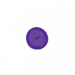 Frisbee Ultimate Moon Disc