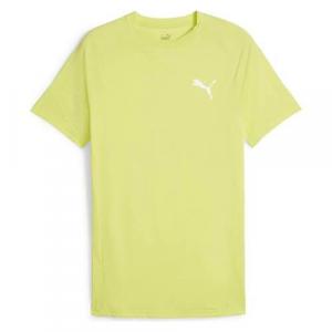 Koszulka sportowa męska Puma Evostripe Tee