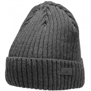 H4Z22 CAM009 82S Beanie
