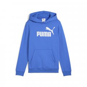 Młodzieżowa polarowa bluza z kapturem ESS z logo No. 1 PUMA Mountain Blue