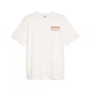 Koszulka sportowa męska Puma Team Graphic Tee