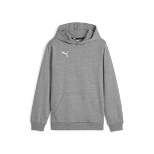 Bluza dla dzieci Puma Team Goal Casuals Hoddy