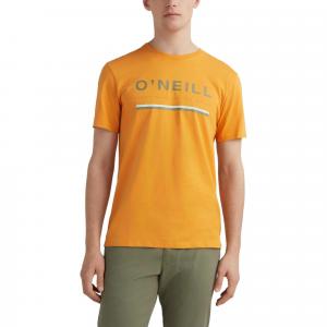 T-shirt męski O'Neill Arrowhead T-Shirt z krótkim rękawem