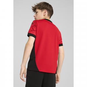 Młodzieżowa koszulka domowa Stade Rennais F.C. 24/25 PUMA Red Black