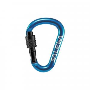 Karabinek wspinaczkowy Hms Screw G2 Small