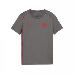 Młodzieżowa koszulka Casuals FC St. Pauli PUMA Flat Medium Gray Red