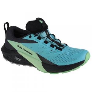 Buty do biegania damskie Salomon Sense Ride 5 Gtx