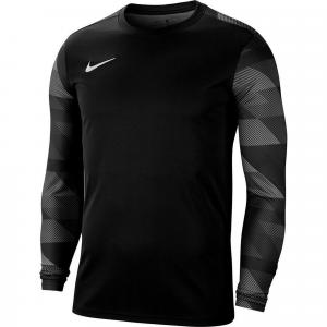 Bluza bramkarska męska Nike Dry Park IV JSY LS GK