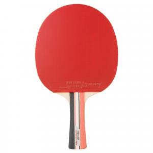 Rakietka Do Tenisa Stołowego Carbon Pro Light 5*