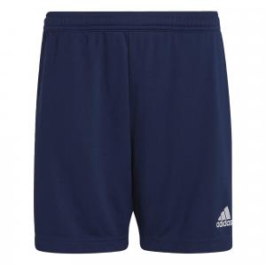 Entrada 22 Training Shorts