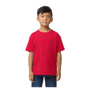 Koszulka Dziecięca/dziecięca Softstyle Midweight T-shirt