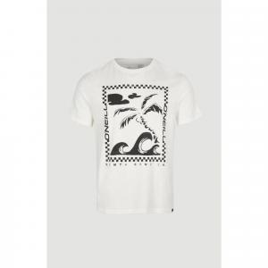 T-shirt męski O'Neill Fin T-Shirt z krótkim rękawem