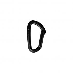 Karabinek Wild Country Session Straight Gate
