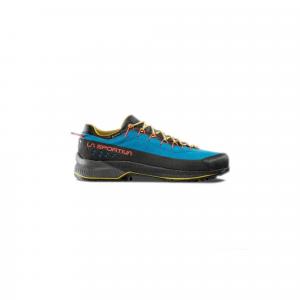 Buty trekkingowe męskie Tx4 Evo GTX